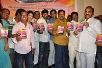 Kakateeyudu Audio Launch